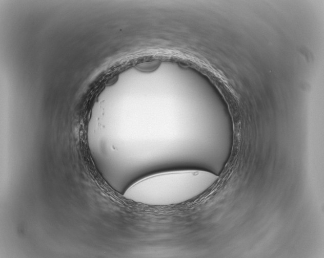 X0000111601495200907161203