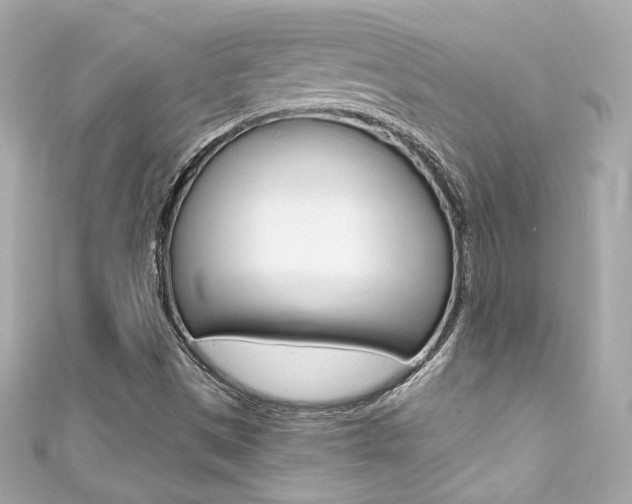 X0000111601497200907161203