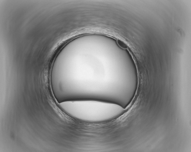 X0000111601499200907161203