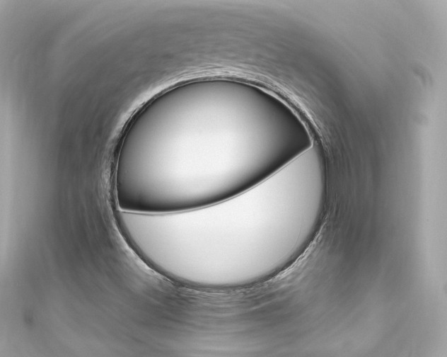 X0000111601500200907161203