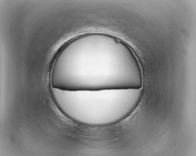 X0000111601503200907161203