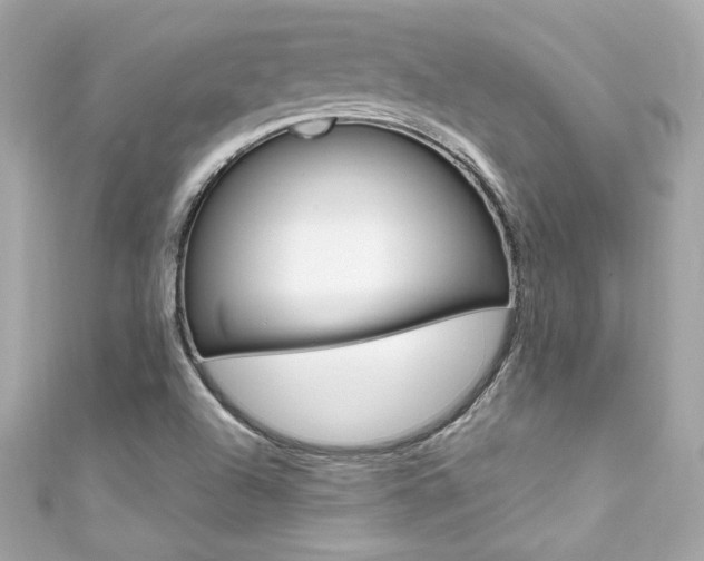 X0000111601504200907161203