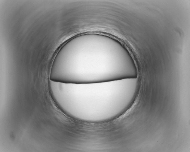 X0000111601505200907161203