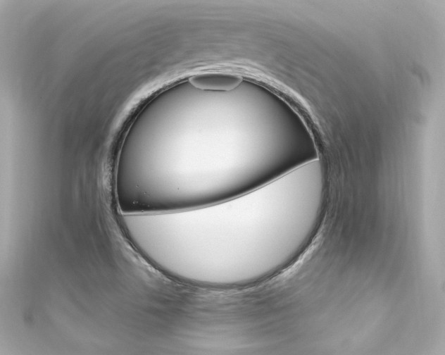 X0000111601506200907161203