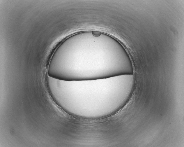 X0000111601507200907161203