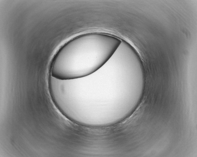 X0000111601508200907161203