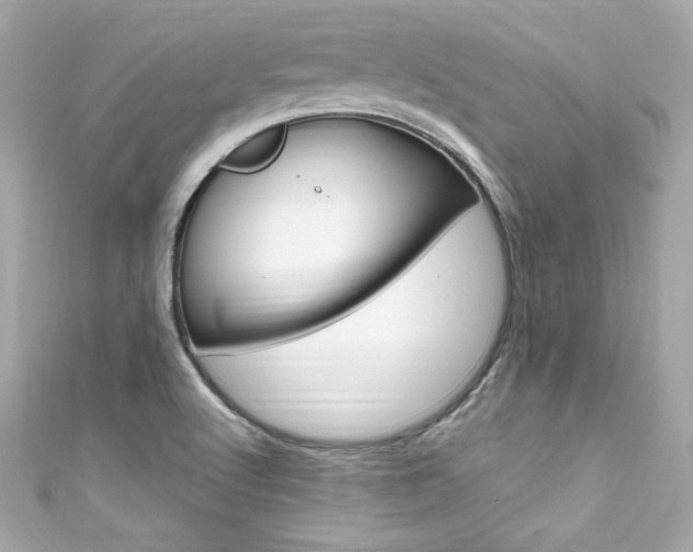 X0000111601512200907161203