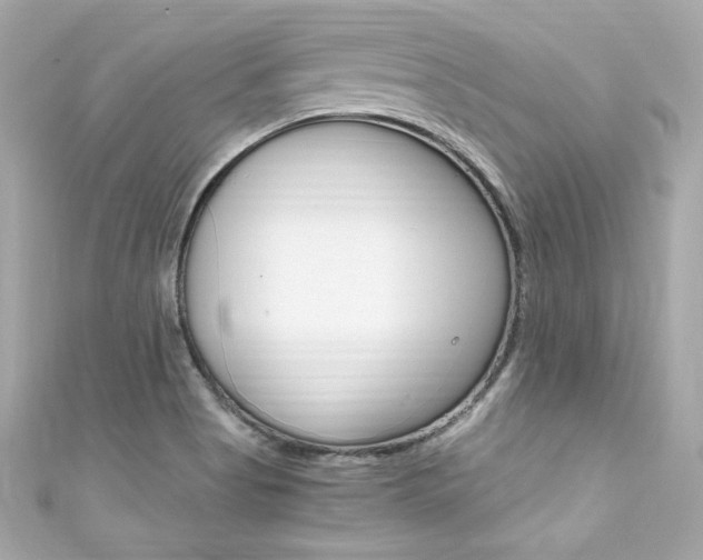 X0000111601513200907161203