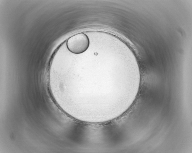 X0000111601514200907161203