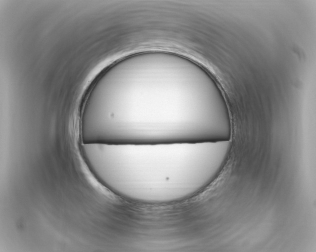 X0000111601515200907161203