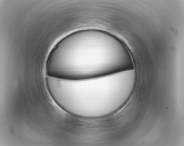 X0000111601516200907161203