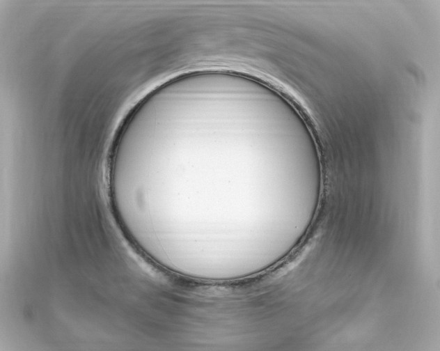 X0000111601517200907161203