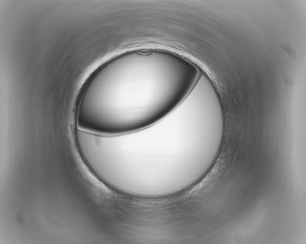 X0000111601518200907161203