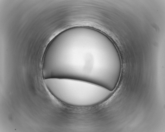 X0000111601521200907161203