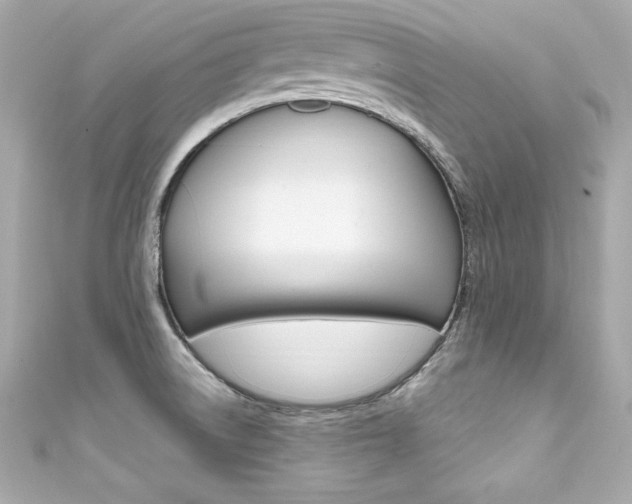 X0000111601522200907161203