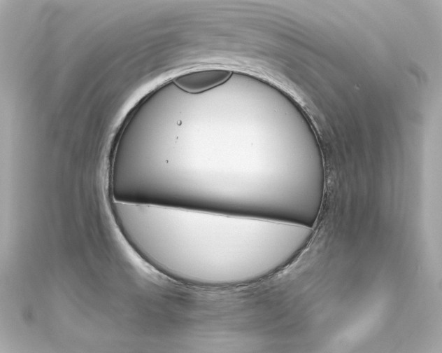 X0000111601523200907161203