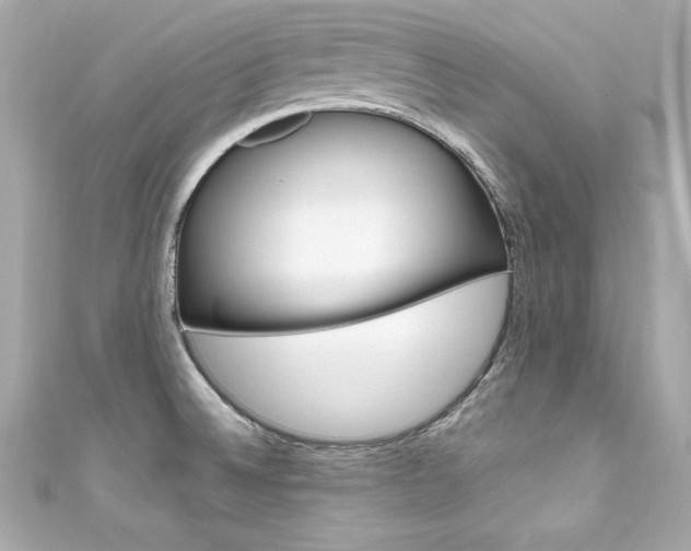 X0000111601524200907161203