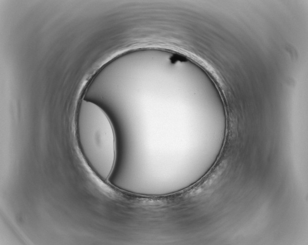 X0000111601525200907161203