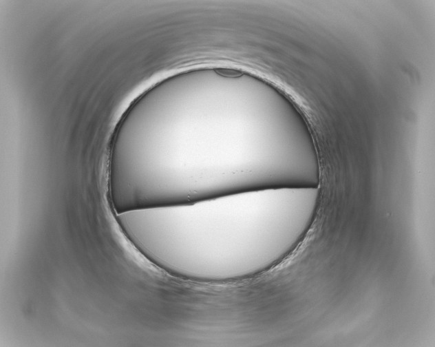 X0000111601526200907161203
