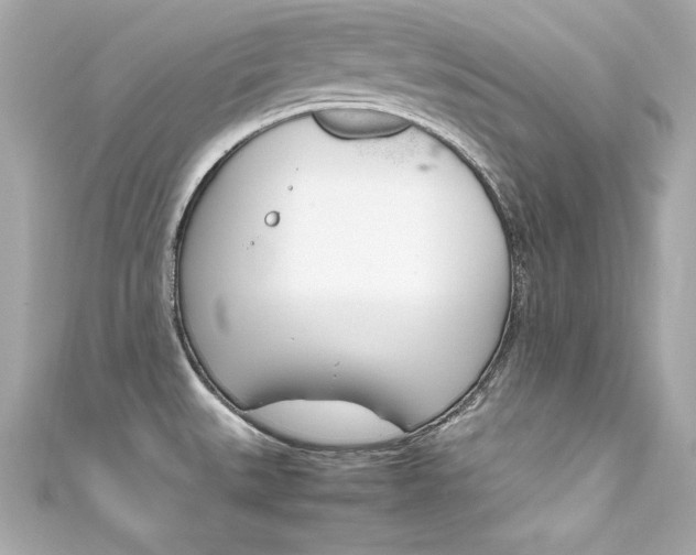 X0000111601527200907161203