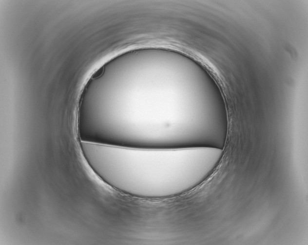 X0000111601528200907161203
