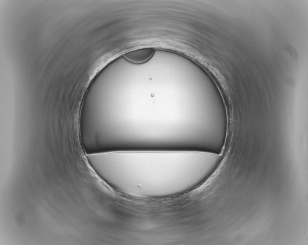 X0000111601529200907161203