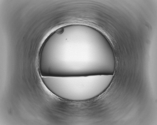 X0000111601531200907161203