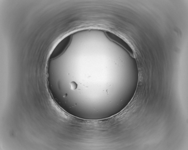 X0000111601532200907161203