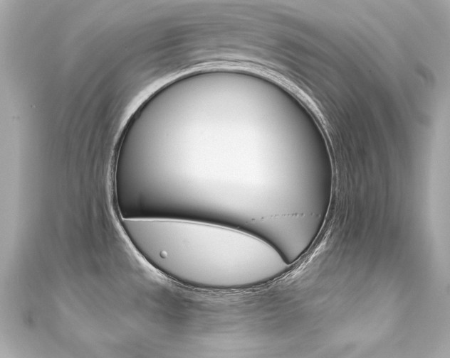 X0000111601533200907161203