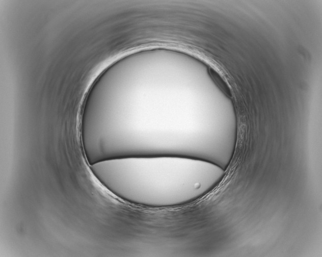 X0000111601535200907161203