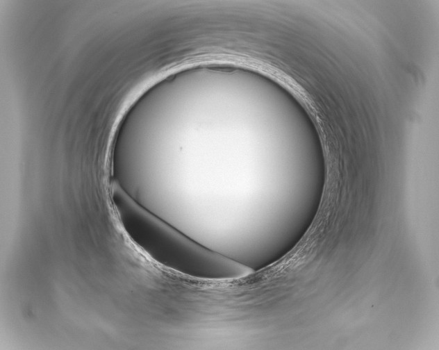 X0000111601536200907161203