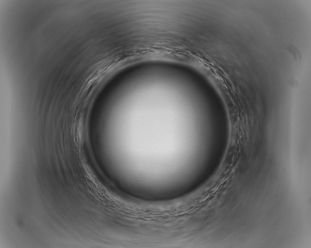 X0000111600002200907161602