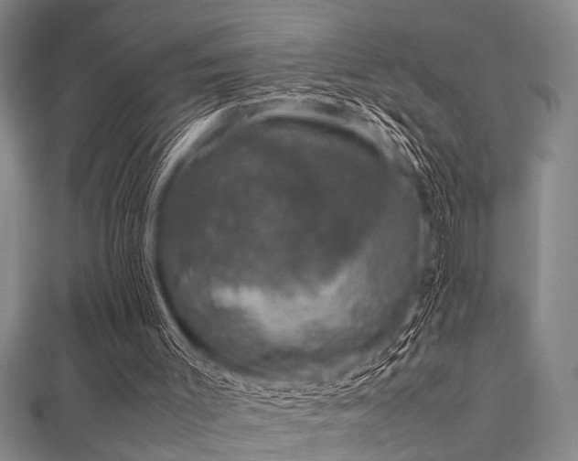 X0000111600003200907161602