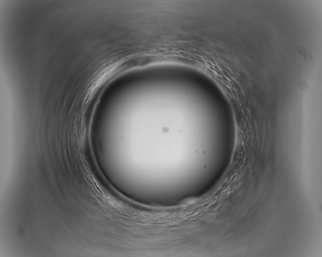 X0000111600005200907161602