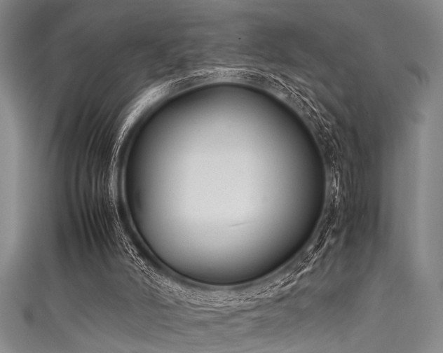 X0000111600006200907161602