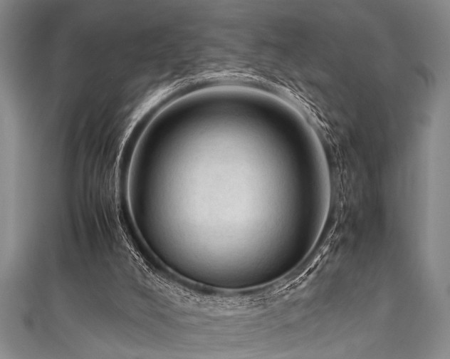 X0000111600008200907161602