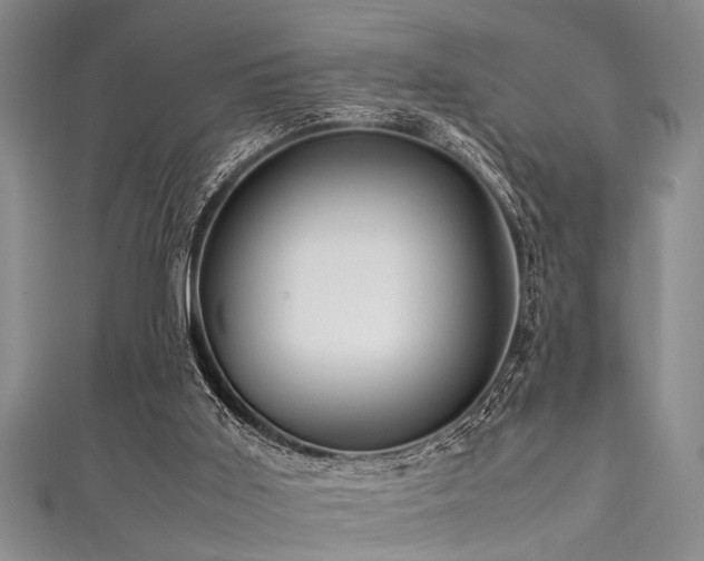 X0000111600011200907161602