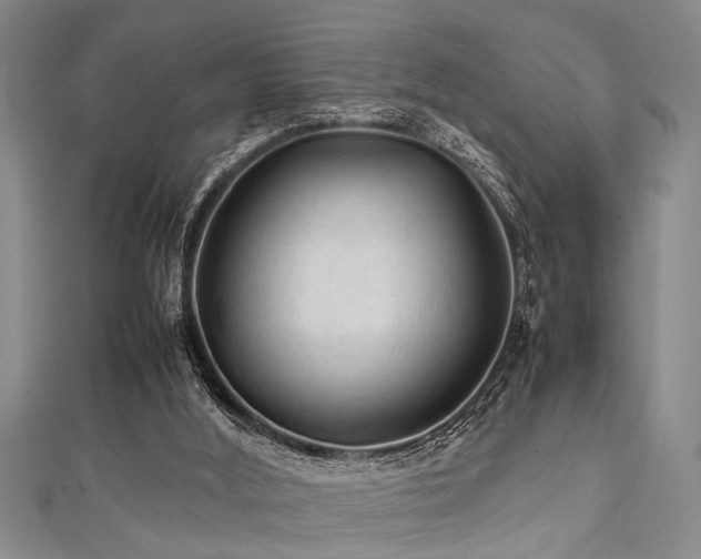 X0000111600012200907161602