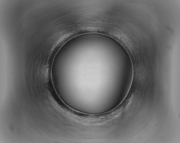 X0000111600016200907161602