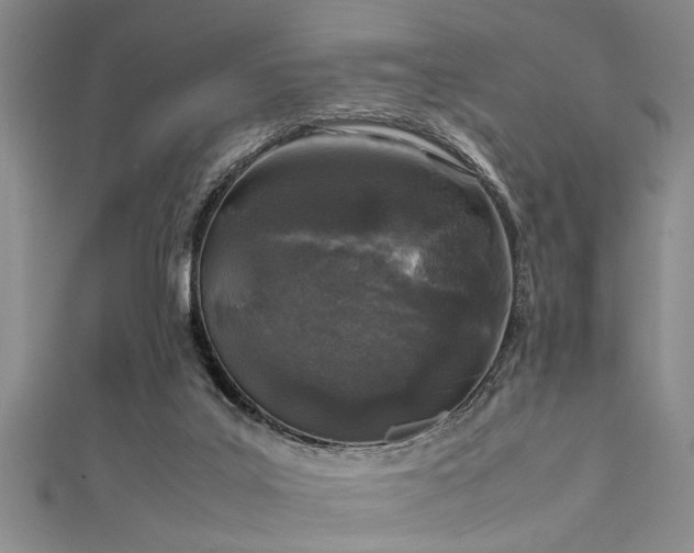 X0000111600019200907161602