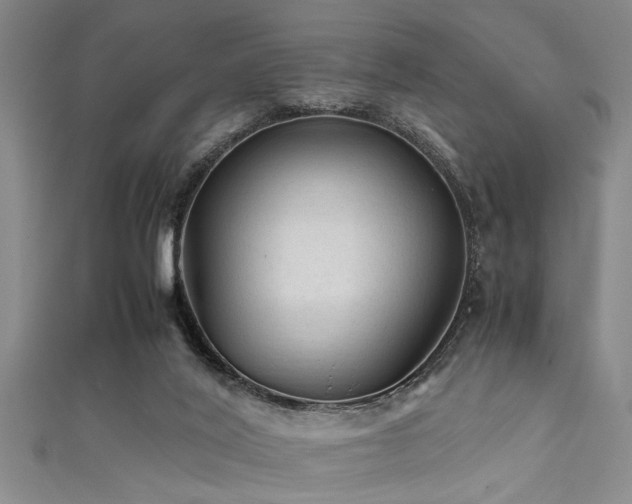 X0000111600020200907161602