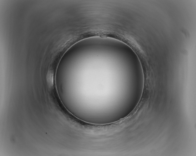 X0000111600021200907161602