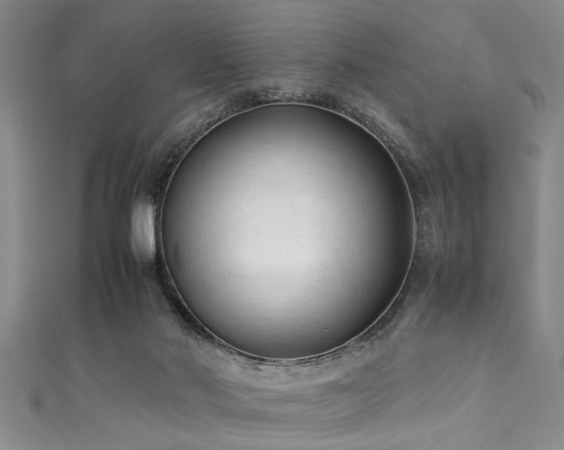 X0000111600022200907161602