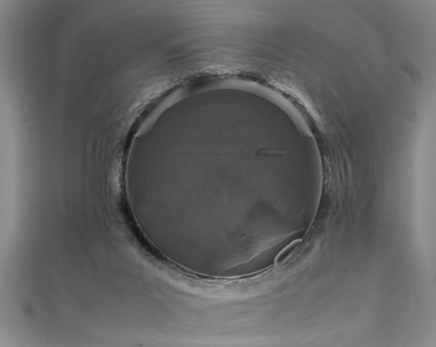 X0000111600023200907161602
