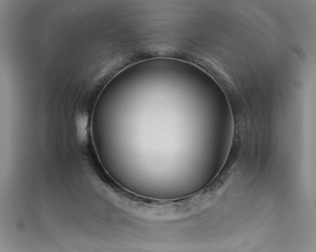 X0000111600024200907161602