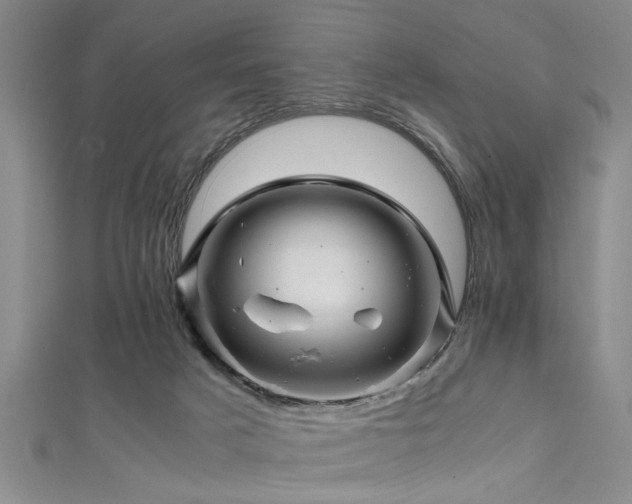 X0000111600025200907161602