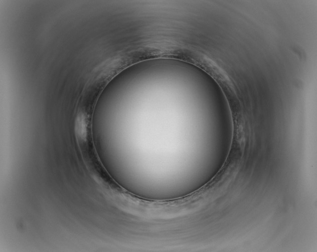 X0000111600026200907161602