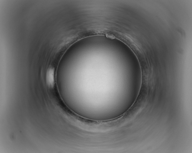 X0000111600028200907161602