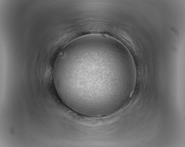 X0000111600029200907161602