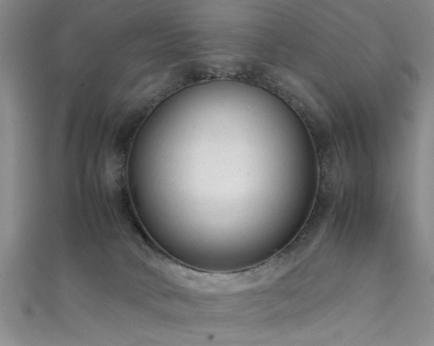 X0000111600034200907161602